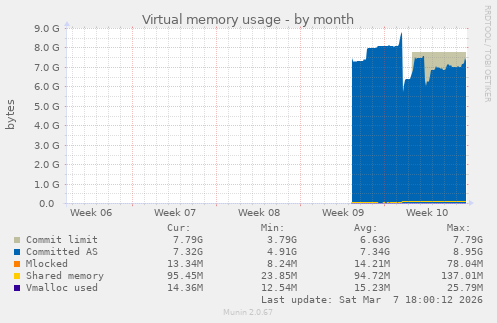 Virtual memory usage
