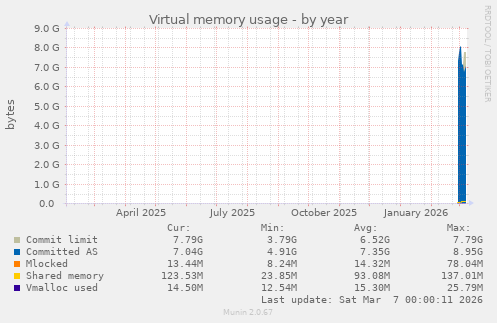 Virtual memory usage