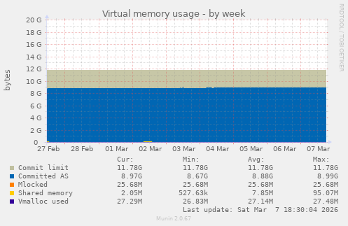 Virtual memory usage